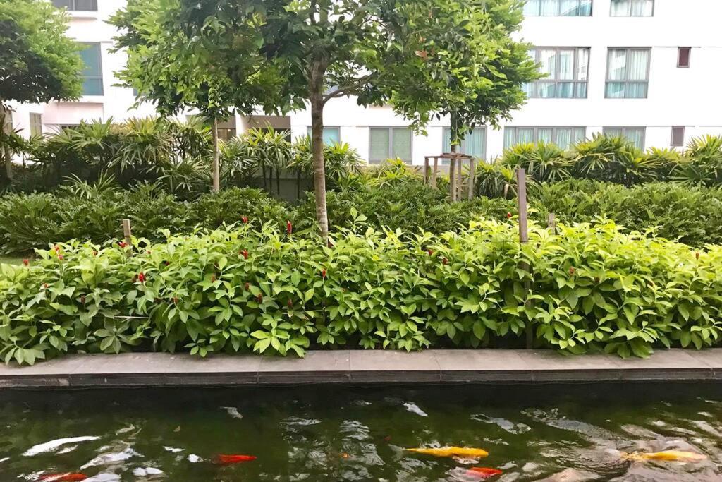 Condo In Imago Mall 亚庇最大商场imago楼里公寓 코타키나발루에서가장큰쇼핑센터아파트 Bagian luar foto